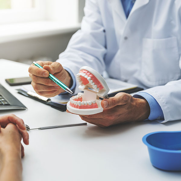 Doctor pointing to model of teeth with pen